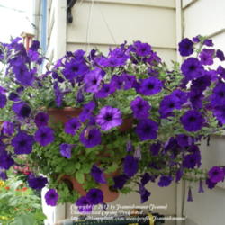 2012-04-29/Joannabanana/cef74d