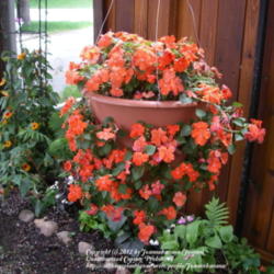 2012-04-29/Joannabanana/e5a1fa