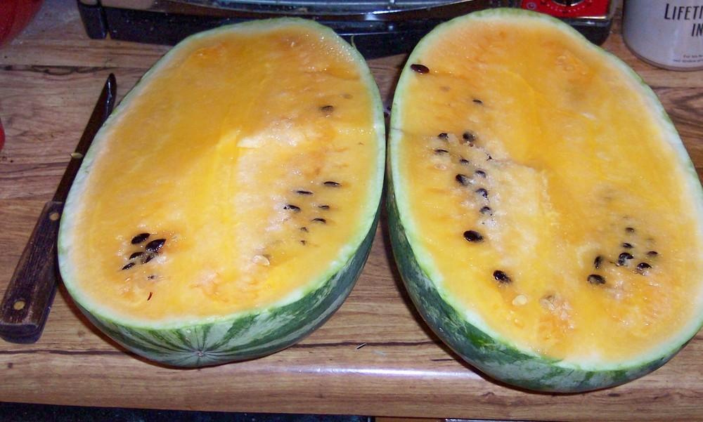 Watermelon (Citrullus lanatus 'Gold Strike') in the Watermelons