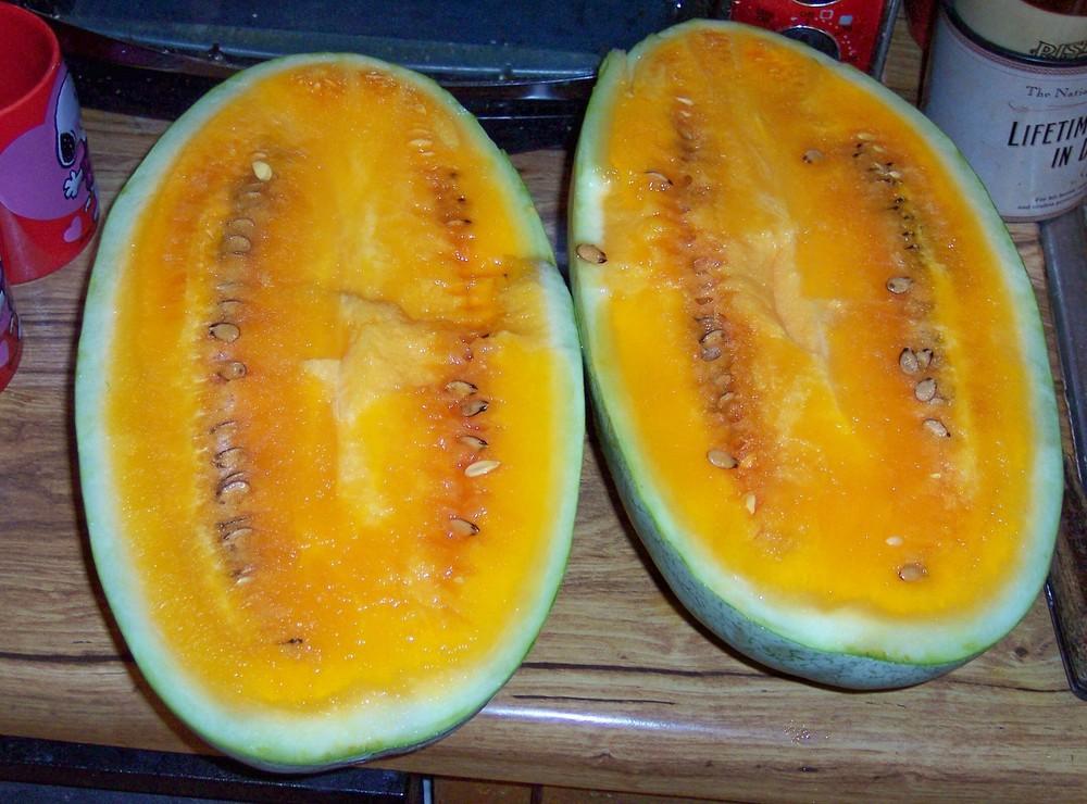 Watermelon (Citrullus lanatus 'Texas Golden') in the Watermelons