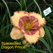 Photo Courtesy of Crossview Gardens. Used with Permission.