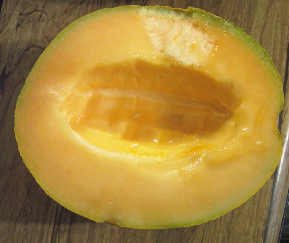 Cantaloupes Plant Care and Collection of Varieties