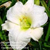 Image Courtesy of Monches Farm Used with Permission