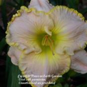 Courtesy of Peace on Earth Gardens Used with permission