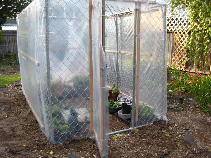 Greenhouses Forum My Dog Kennel Greenhouse Gardenorg
