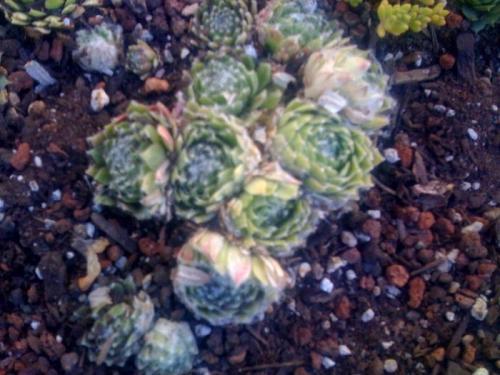 Thumb of 2012-10-11/webesemps/55596b
