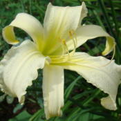 Location: Exeter, NHDate: 2010-07-21