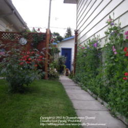 2012-12-31/Joannabanana/1aa4db