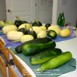 2013-01-03/Joannabanana/9eff7b