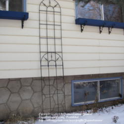 2013-01-12/Joannabanana/0d500b