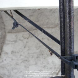 2013-01-12/Joannabanana/4f6d05