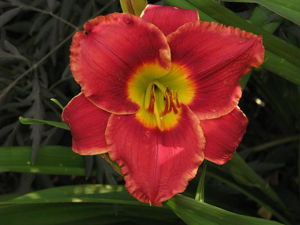 �������� ���� ���� ���� ������ �����