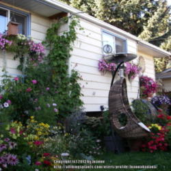 2013-05-22/Joannabanana/675604