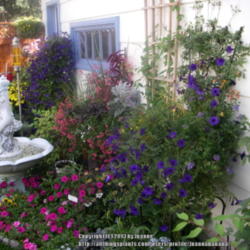 2013-05-22/Joannabanana/71d12a