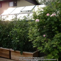 2013-05-22/Joannabanana/a5f7b3