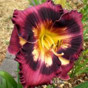 Location: Koeln,  GermanyDate: 2011