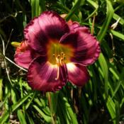 Location: Long Island, NY Date: 2013-07-14