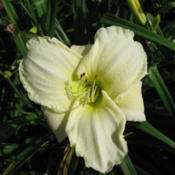 Date: Augustcredit: Paul Paradis