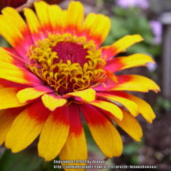2014-01-19/Joannabanana/dbbedd