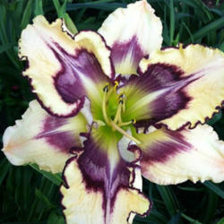 2014-02-06/LarryR/8f1803