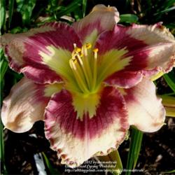 2014-02-08/LarryR/268193