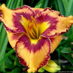 2014-02-08/LarryR/5dddb4