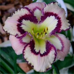 2014-02-08/LarryR/d367ff