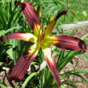 Location: VermontDate: 2010-07-01