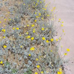 Location: Arizona 
Date: July 2007