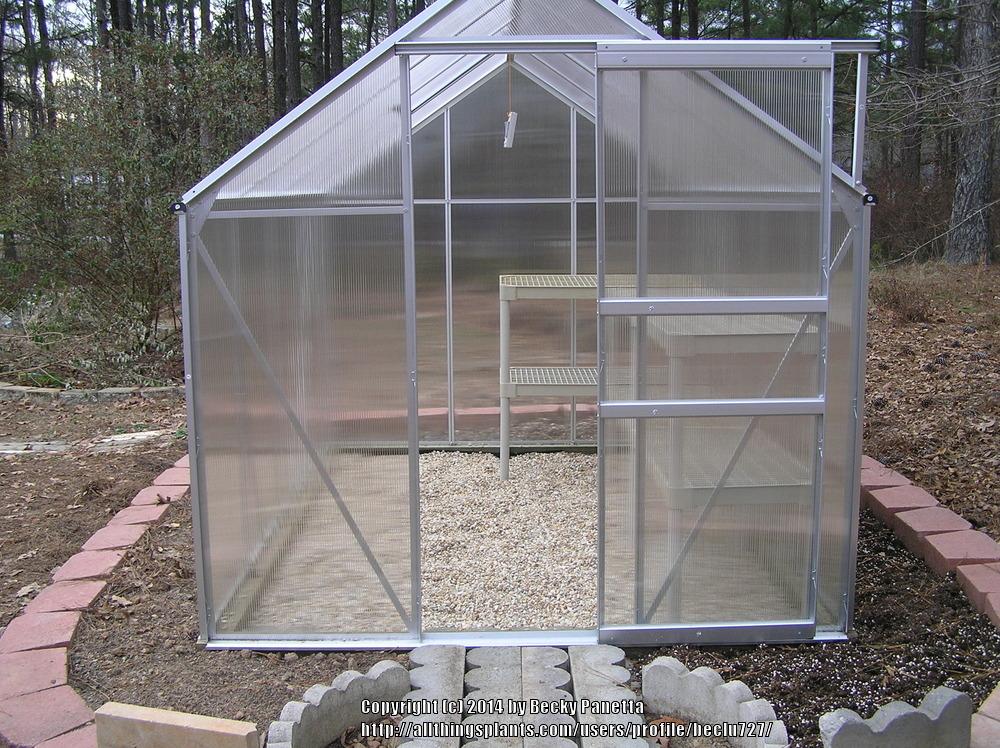 Harbor Freight Greenhouse projects in the Greenhouses forum