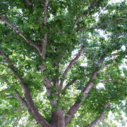 Location: Houston
Date: 2014-05-20