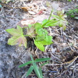 Location: Houston
Date: 2014-05-20