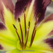 Location: Garland (Dallas), TXDate: 2014-06-21