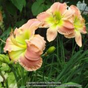 Location: 7ADate: 2014-07-14