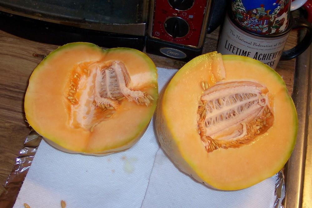 Cantaloupes Plant Care and Collection of Varieties