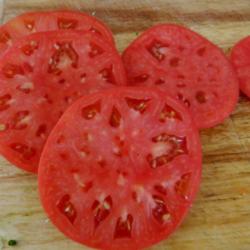 Tomato (<i>Solanum lycopersicum</i> 'Mortgage Lifter')