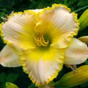 Location: Wiesbaden - GermanyDate: 2014-07-05