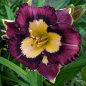 Location: Koeln,  GermanyDate: 2014