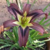 Location: north central TexasDate: 2014-06-29