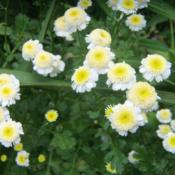 Location: Pittsburgh, PennsylvaniaDate: 2014-06-22