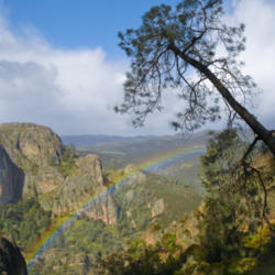 Location: Rainbow and gray pine from Juniper Canyon Trail in Pinnacles National Park
Date: 2009-03-24
Photo courtesy of: Miguel Vieira