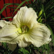 photo credit: Paul Paradis