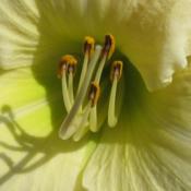 photo credit: Paul Paradis