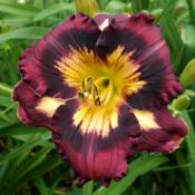 Location: Koeln,  GermanyDate: 2015