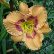 Location: Koeln,  GermanyDate: 2015