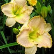 Location: Winston-Salem, NCDate: 2009-06-15