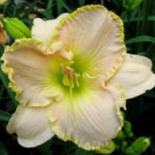 Location: Winston-Salem, NCDate: 2008-06-12