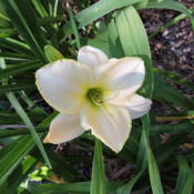 Location: Hamilton, OhioDate: 2016-06-27