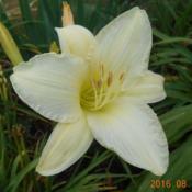 Location: Wentworth, NS, CanadaDate: 2016-08-13