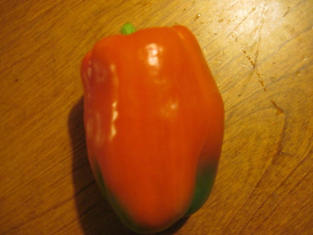 Bell Pepper (Capsicum annuum 'Better Belle') in the Peppers Database